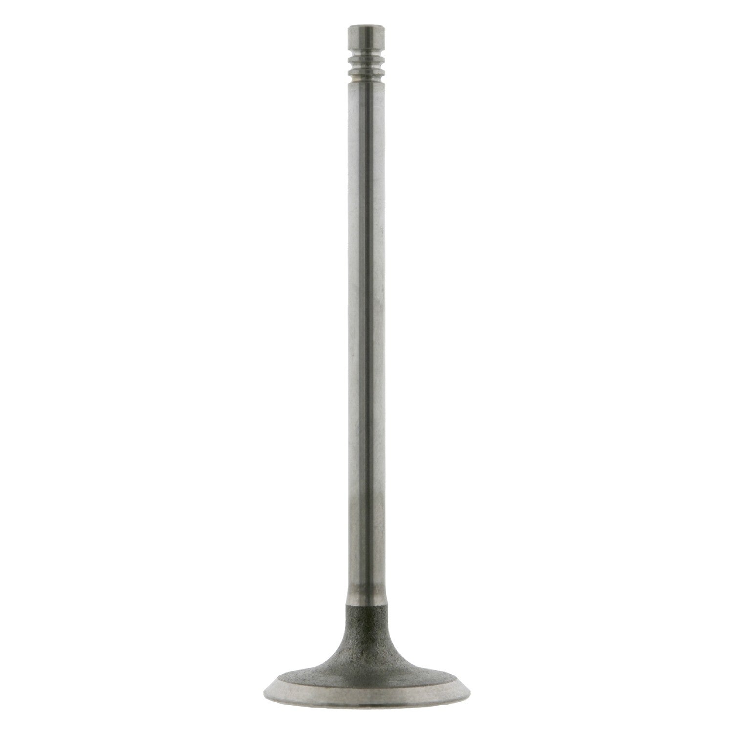 Febi-Bilstein Engine Intake Valve 24160