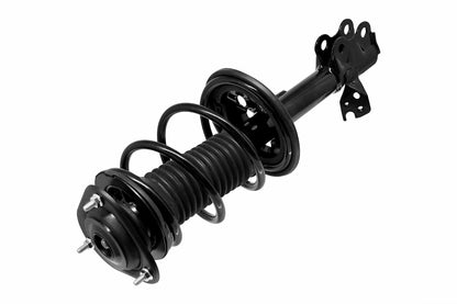 Focus Auto Parts Suspension Strut and Coil Spring Assembly 1331621L