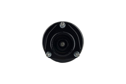 Focus Auto Parts Suspension Strut and Coil Spring Assembly 1331623R