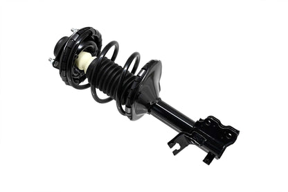 Focus Auto Parts Suspension Strut and Coil Spring Assembly 1331642L