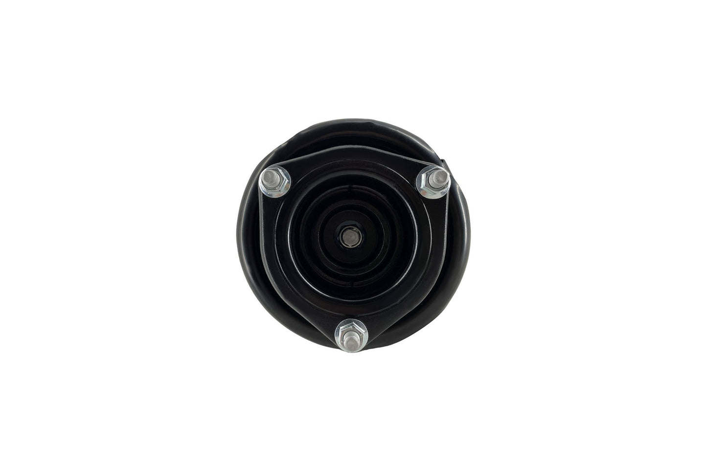 Focus Auto Parts Suspension Strut and Coil Spring Assembly 1331647L