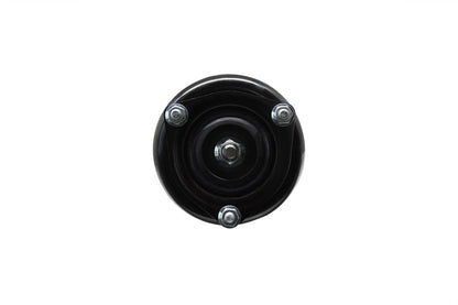 Focus Auto Parts Suspension Strut and Coil Spring Assembly 1331651L