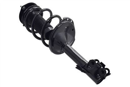 Focus Auto Parts Suspension Strut and Coil Spring Assembly 1331660L