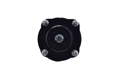 Focus Auto Parts Suspension Strut and Coil Spring Assembly 1331675L