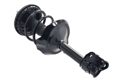 Focus Auto Parts Suspension Strut and Coil Spring Assembly 1331716L