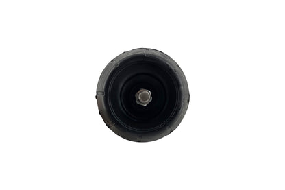 Focus Auto Parts Suspension Strut and Coil Spring Assembly 1331776L