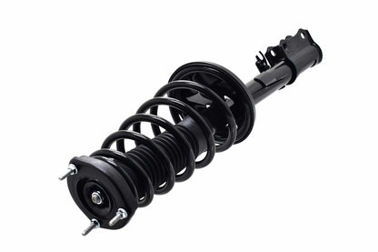 Focus Auto Parts Suspension Strut and Coil Spring Assembly 1331786R