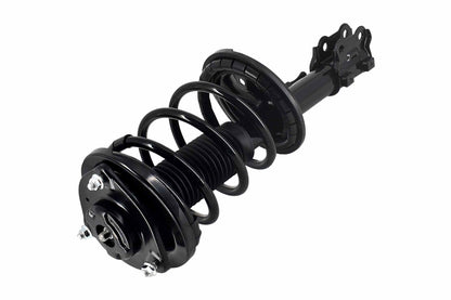 Focus Auto Parts Suspension Strut and Coil Spring Assembly 1331909L