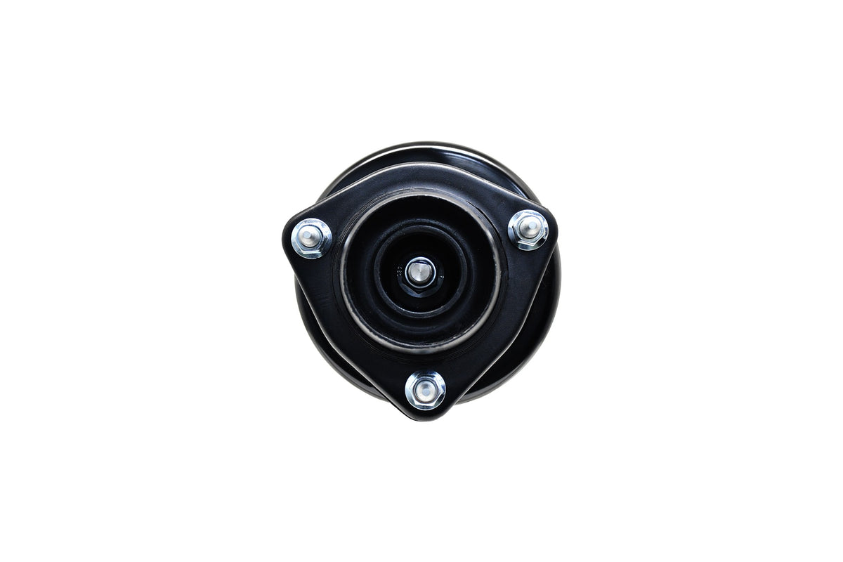 Focus Auto Parts Suspension Strut and Coil Spring Assembly 1332332L