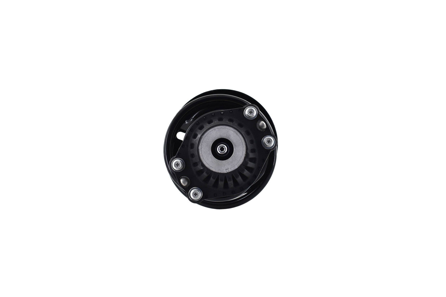 Focus Auto Parts Suspension Strut and Coil Spring Assembly 1333701L