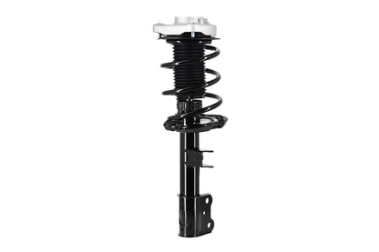 FCS Struts 1333802L