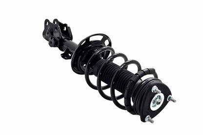 Focus Auto Parts Suspension Strut and Coil Spring Assembly 1333967L