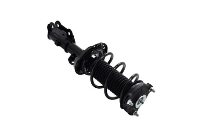 Focus Auto Parts Suspension Strut and Coil Spring Assembly 1334051L