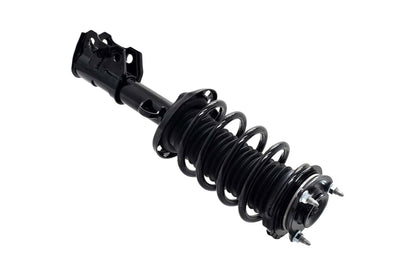 Focus Auto Parts Suspension Strut and Coil Spring Assembly 1334075L