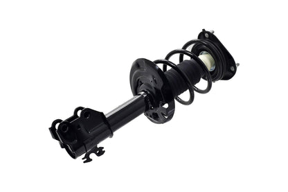 Focus Auto Parts Suspension Strut and Coil Spring Assembly 1334103L