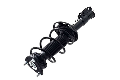 Focus Auto Parts Suspension Strut and Coil Spring Assembly 1334108L