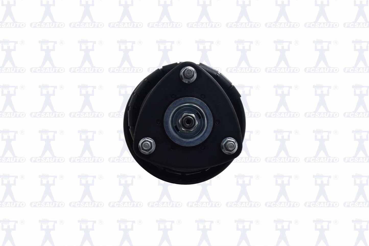 Focus Auto Parts Suspension Strut and Coil Spring Assembly 1334125L
