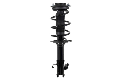 FCS Struts 1334234L
