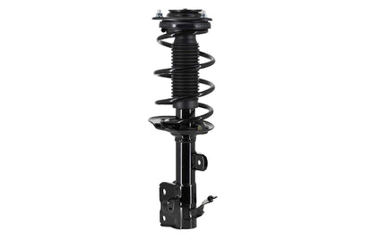 FCS Struts 1334234R