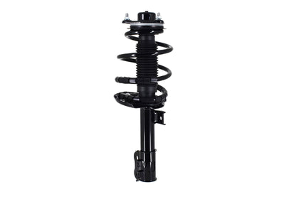 FCS Struts 1334305R