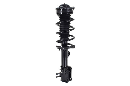 FCS Struts 1334308L