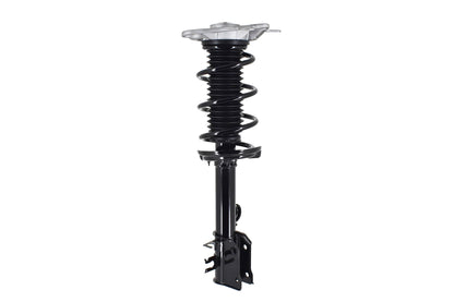 FCS Struts 1334309L