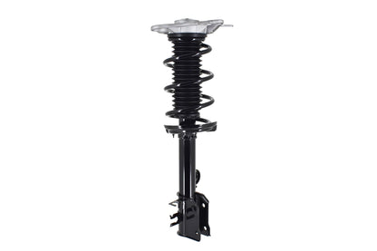 FCS Struts 1334309L