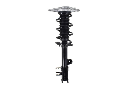 FCS Struts 1334309L