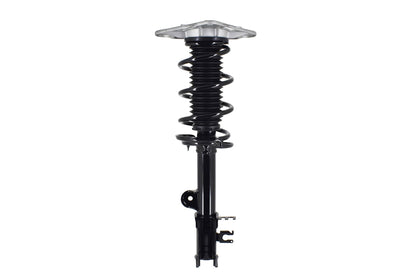 FCS Struts 1334309R