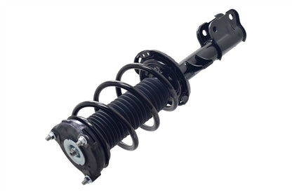 FCS Struts 1334415L