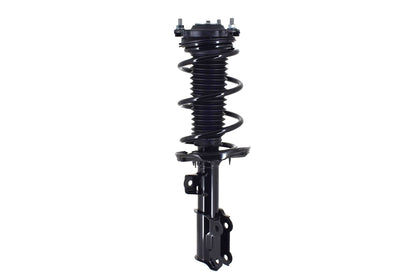 FCS Struts 1334466L