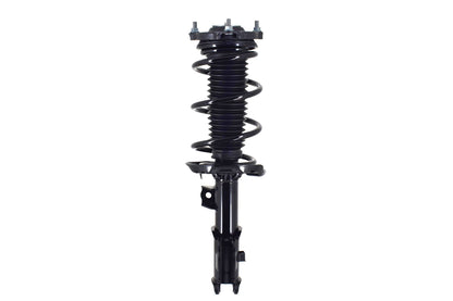 FCS Struts 1334466L