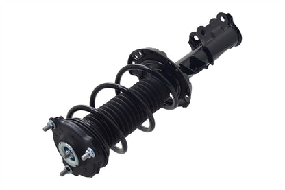 FCS Struts 1334466L