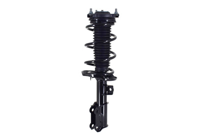 FCS Struts 1334466R