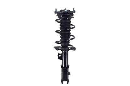 FCS Struts 1334467L
