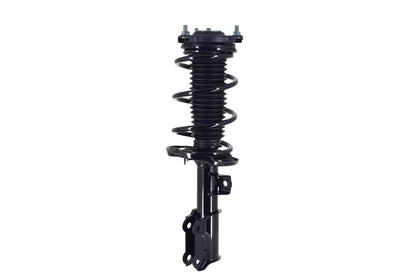 FCS Struts 1334467R