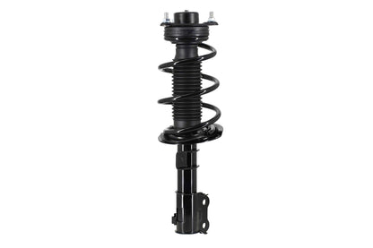 FCS Struts 1334491L