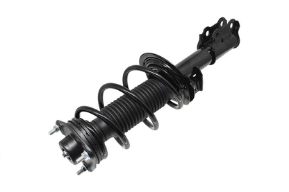 FCS Struts 1334491L