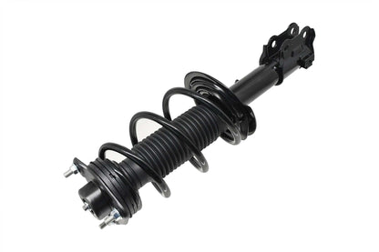 FCS Struts 1334491R
