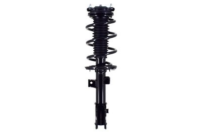 FCS Struts 1334572L main image