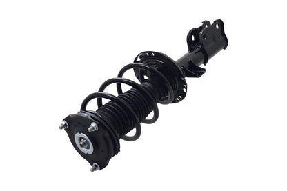 FCS Struts 1334573L image 3