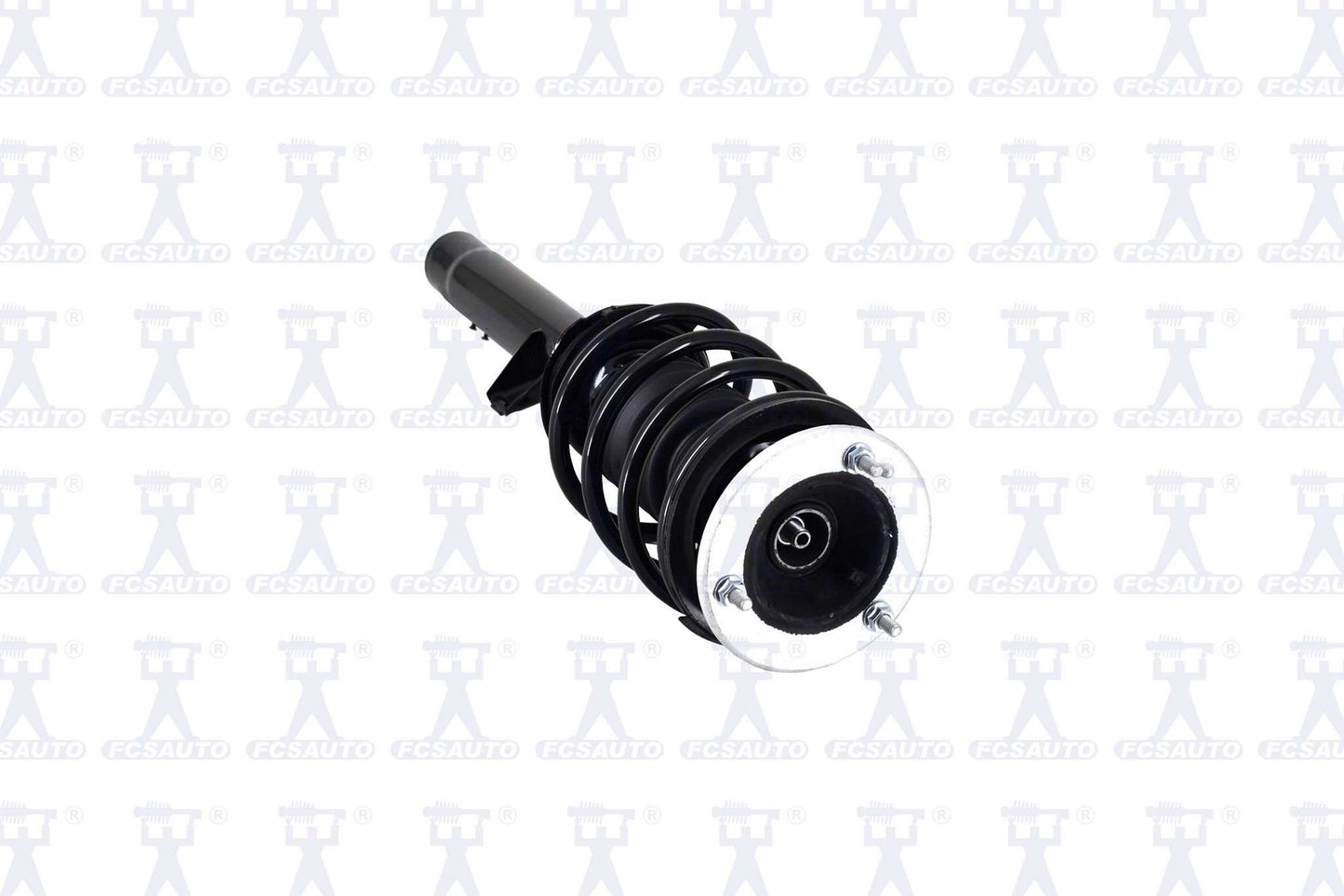Focus Auto Parts Suspension Strut and Coil Spring Assembly 1335684L