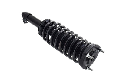 Focus Auto Parts Suspension Strut and Coil Spring Assembly 1335899L