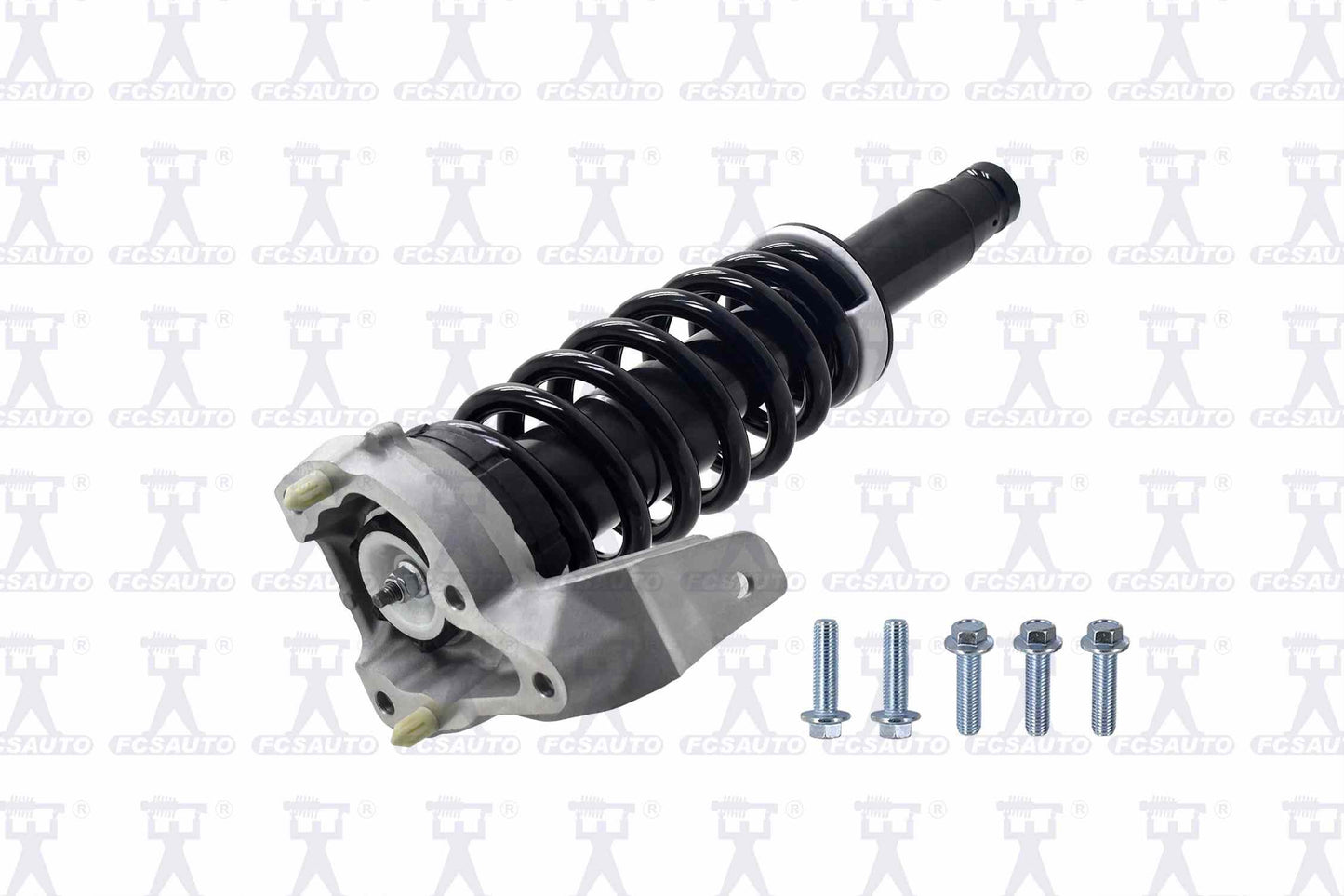 Focus Auto Parts Suspension Strut and Coil Spring Assembly 1335946L