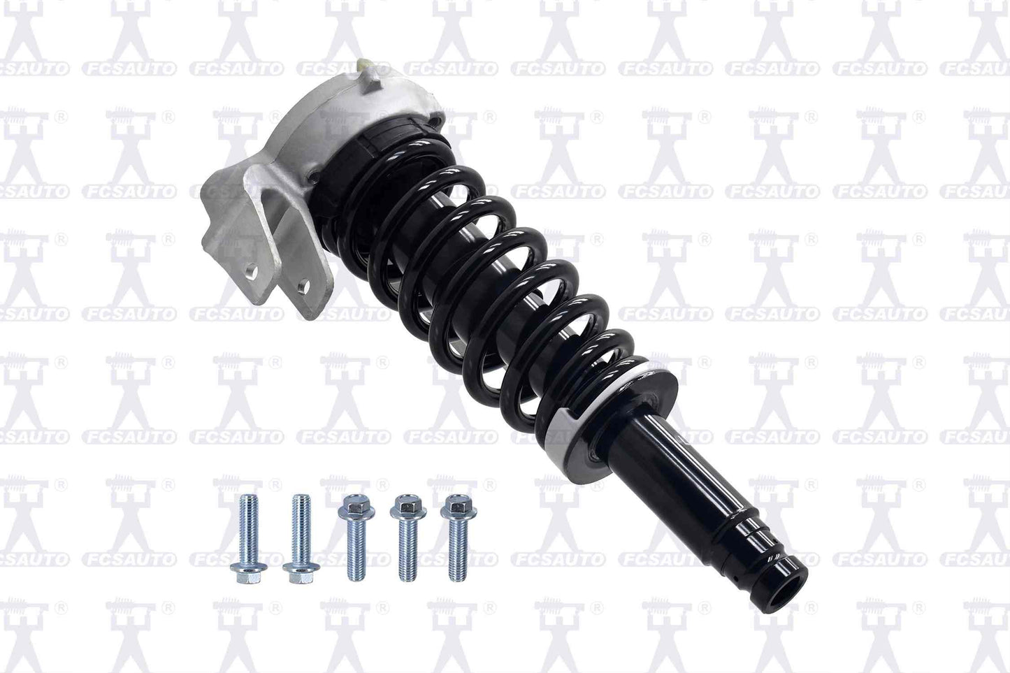 Focus Auto Parts Suspension Strut and Coil Spring Assembly 1335946L
