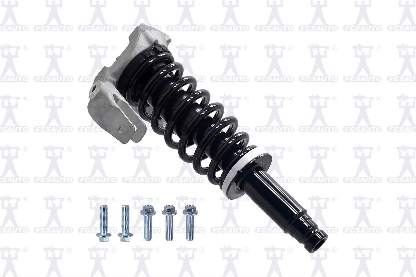 Focus Auto Parts Suspension Strut and Coil Spring Assembly 1335946R