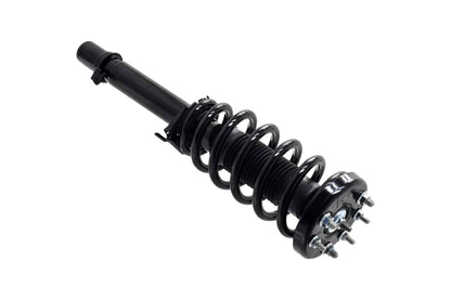Focus Auto Parts Suspension Strut and Coil Spring Assembly 1335948L