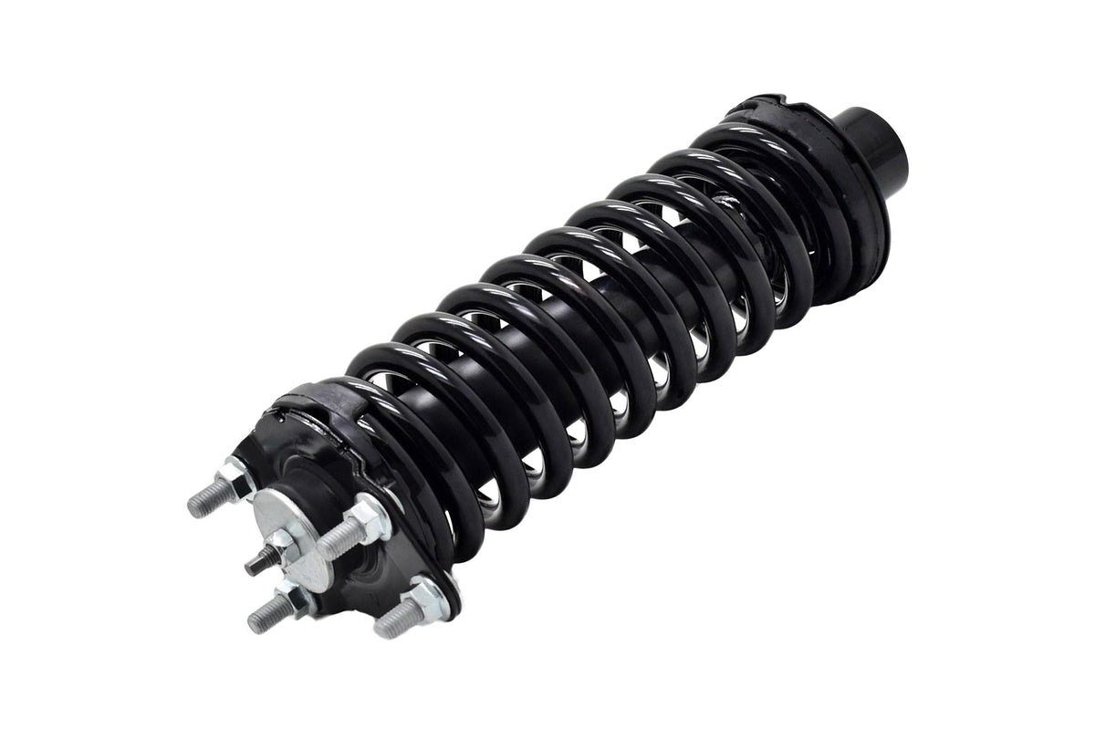 Focus Auto Parts Suspension Strut and Coil Spring Assembly 1336329L