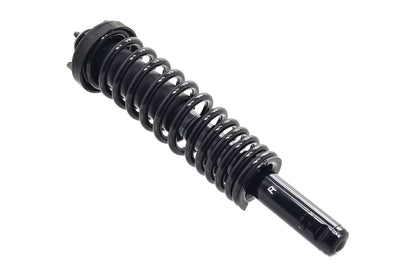 Focus Auto Parts Suspension Strut and Coil Spring Assembly 1336337R