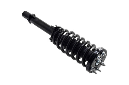 Focus Auto Parts Suspension Strut and Coil Spring Assembly 1337020L
